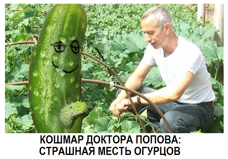 Большая жопа огурец